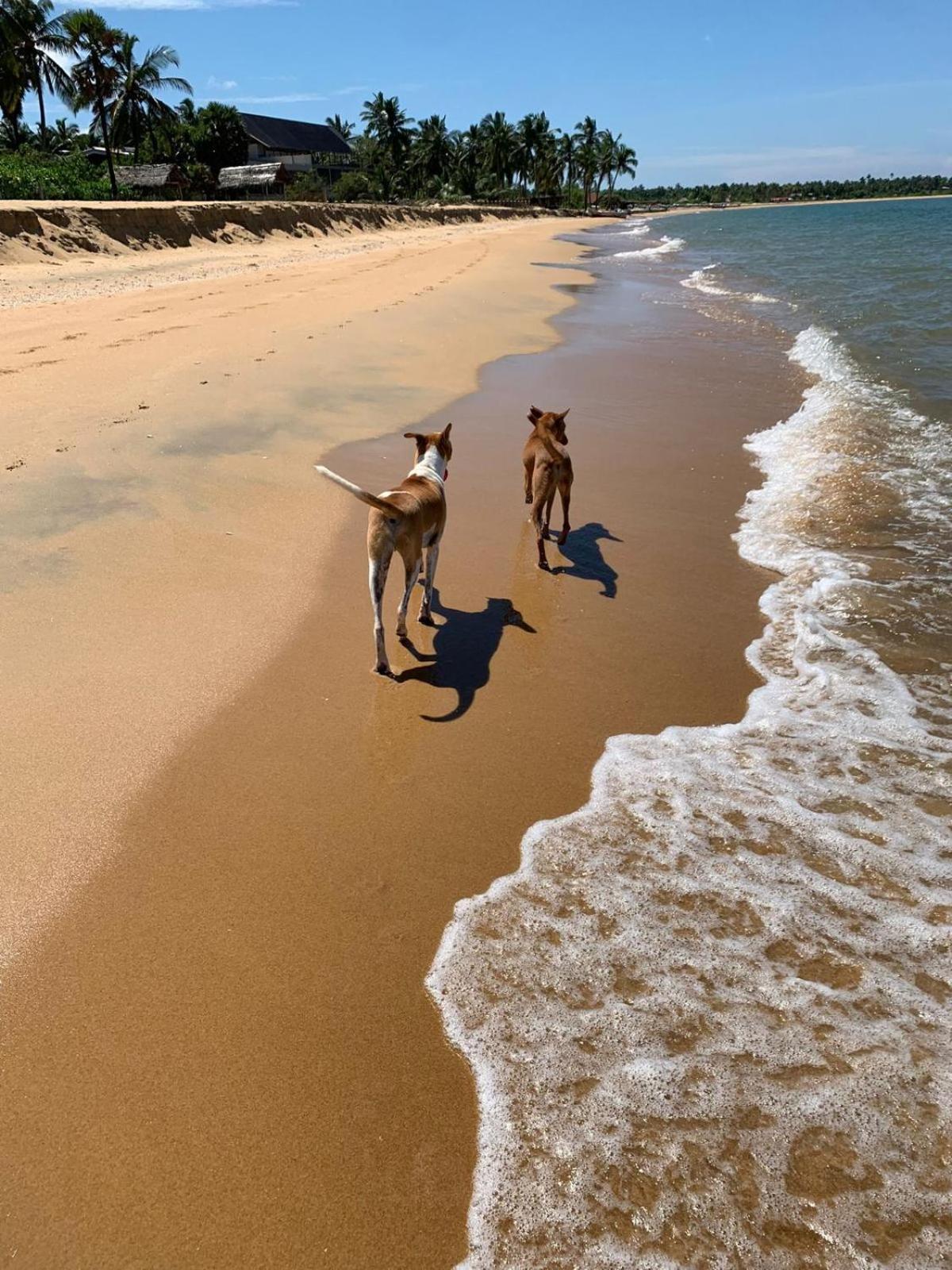 Sea Sand Resort Kalpitiya Ngoại thất bức ảnh