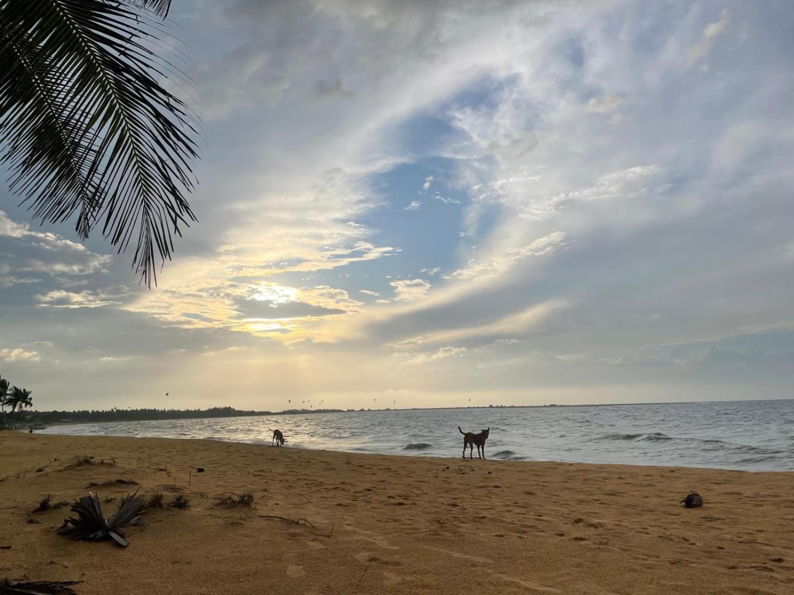 Sea Sand Resort Kalpitiya Ngoại thất bức ảnh