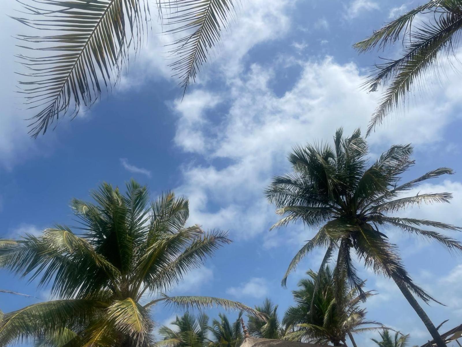Sea Sand Resort Kalpitiya Ngoại thất bức ảnh